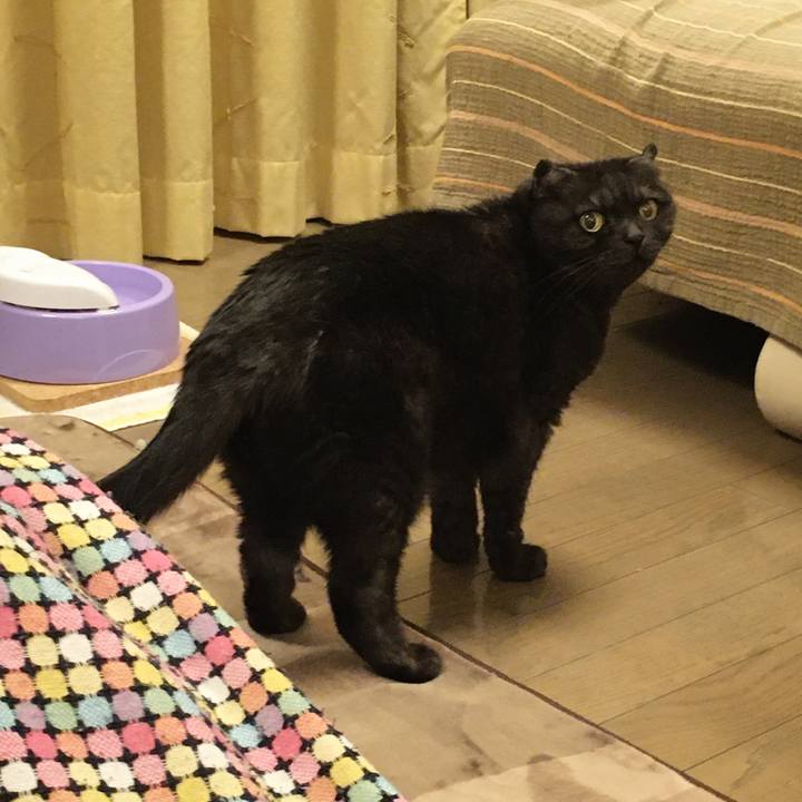 Dcf565b1 846b 40e7 a1bf c5459e64f597 1585754171762