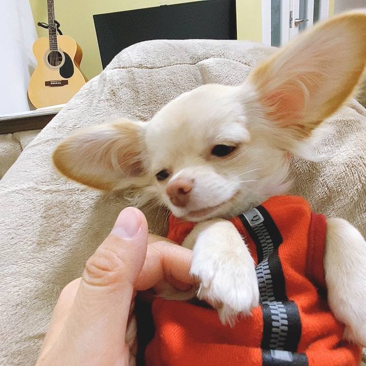 Dcf578c5 44b9 473d ac4c a3ca6cfddbe2 1607747835598