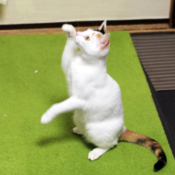 Dcf5b8d3 2454 477b 8609 4a8aa091a2a9 1548465458907