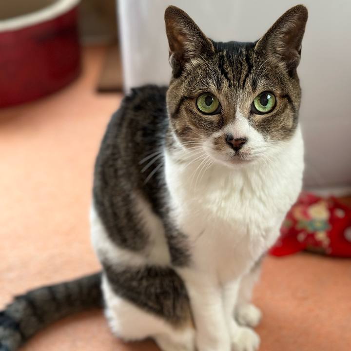 Dcf5bb4c c1d1 4ae7 bdfc da1458d1ce15 1676168664150