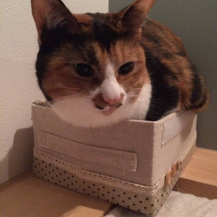 Dcf5bede 4504 4aaa a507 e79f28f74179 1585743019376