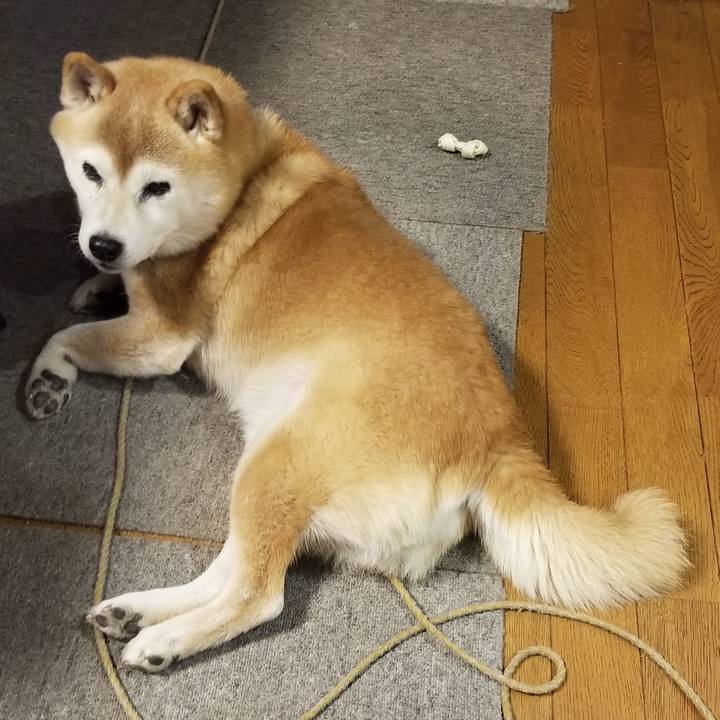 Dcf5f007 87ae 4fd0 9528 982a3ad8fc0a 1705392436296