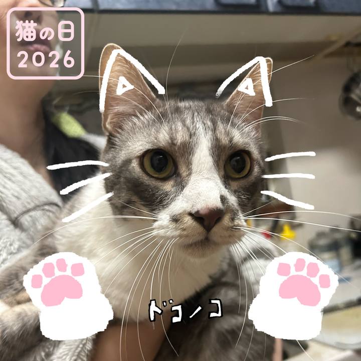 Dcf6104b 7695 499b 910d 70076e18150d 1771770077214