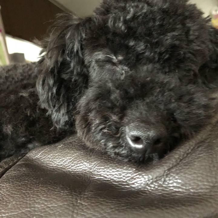 Dcf61939 364d 4e2a af6f 28257441417c 1525265172541