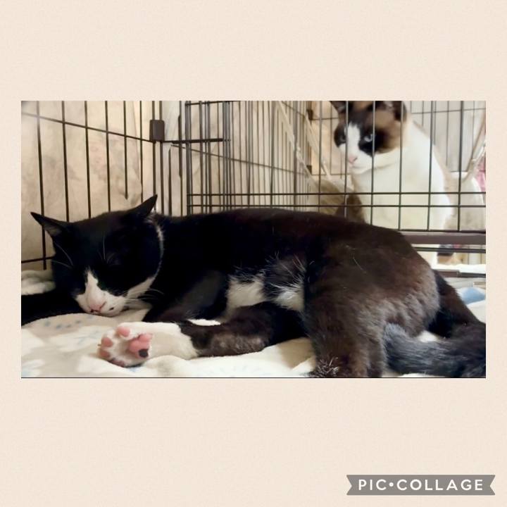 Dcf6f835 ca9d 47a0 9717 dc3e076a20d5 1748683227668