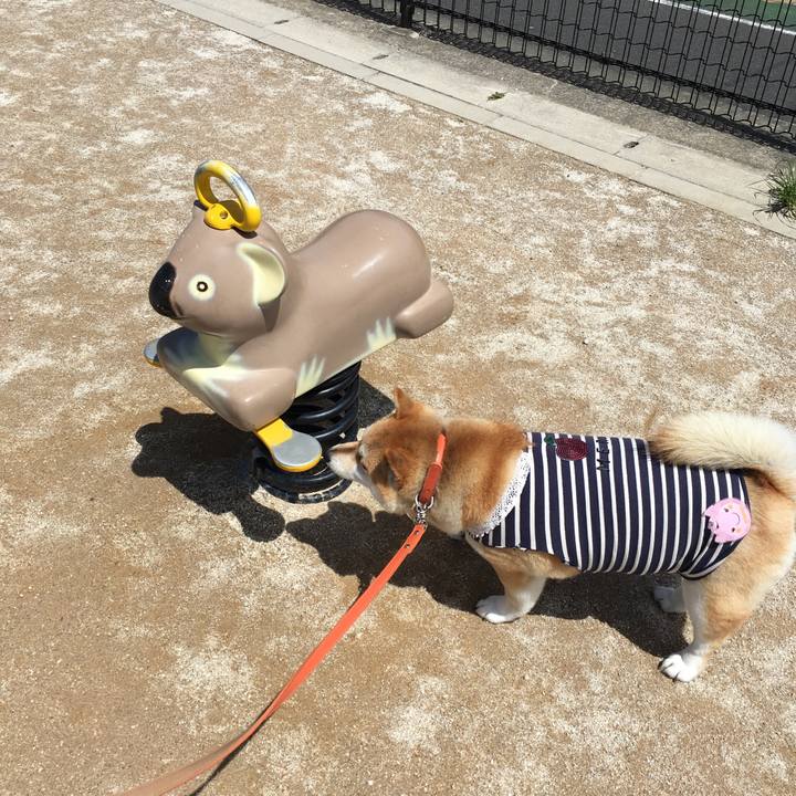 Dcf7113c c300 4af7 964b b41fa5616a01 1556428491190