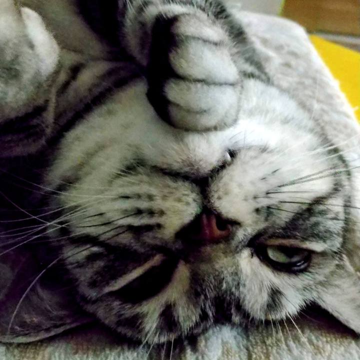 Dcf71286 ba53 4d47 b737 b0f8b162b8a5 1674383328101