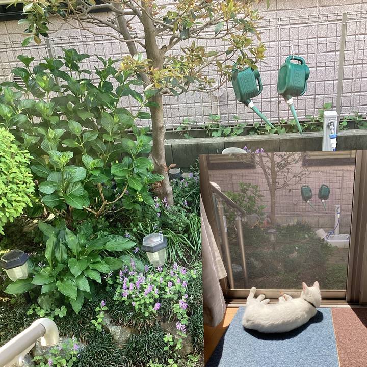 Dcf738ef e9ae 4e45 8dbd 2e2e06a9c995 1652601704571