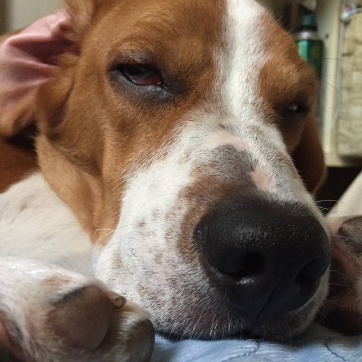 Dcf745ff e0cd 4468 84e0 df1c1034ad3c 1530451043138