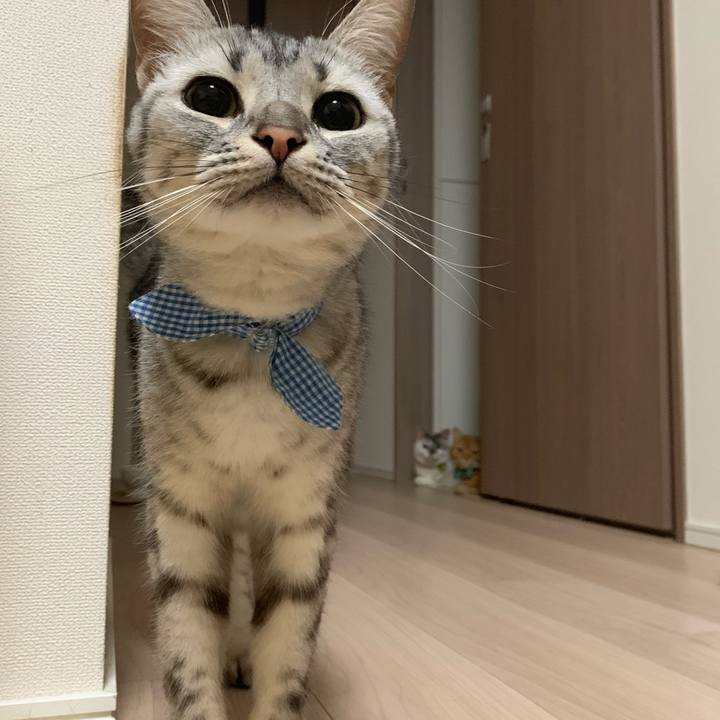 Dcf755b6 1df5 444a ade9 2c6f11ffd076 1568155802971