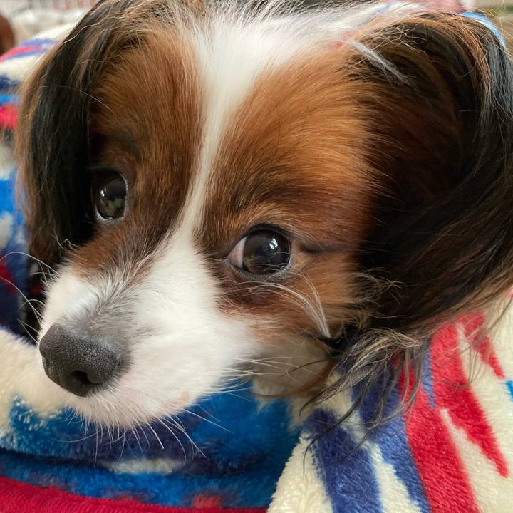 Dcf76875 9561 4e9f a922 4a946d4b86e1 1638833570679