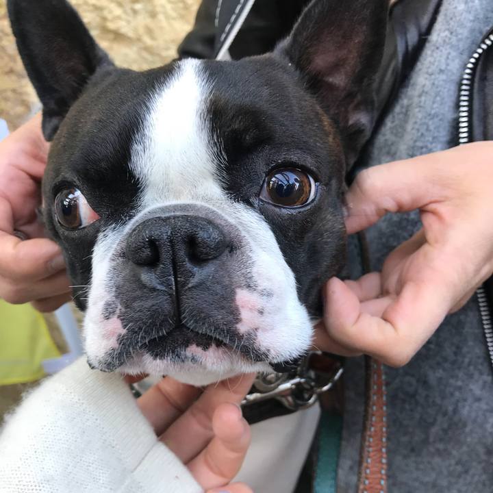 Dcf799fd d990 4e5c 9699 9139feedbf7f 1511187050956