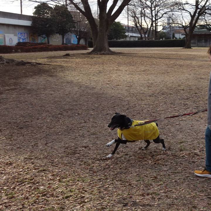 Dcf7a212 5542 4014 857b 4c31e8500e92 1737936408937