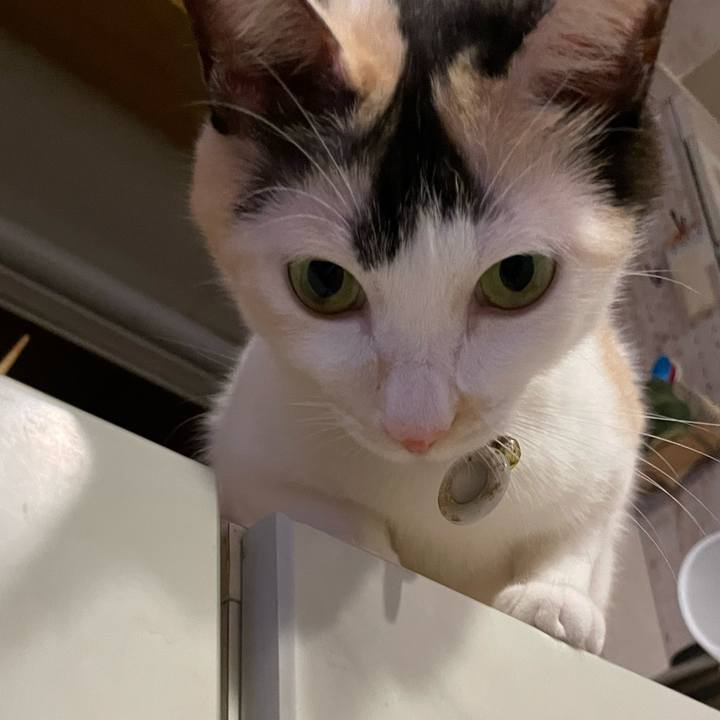 Dcf7a70f 0083 4241 be09 b0b5a9832f30 1697987595158