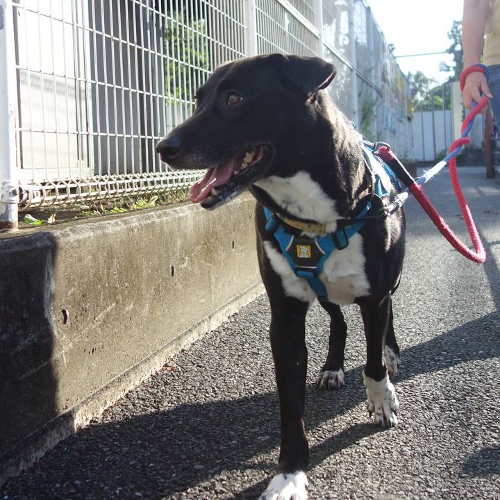 Dcf7bf5b a2a5 4b9a b1a6 16033cd0d49f 1633305920868