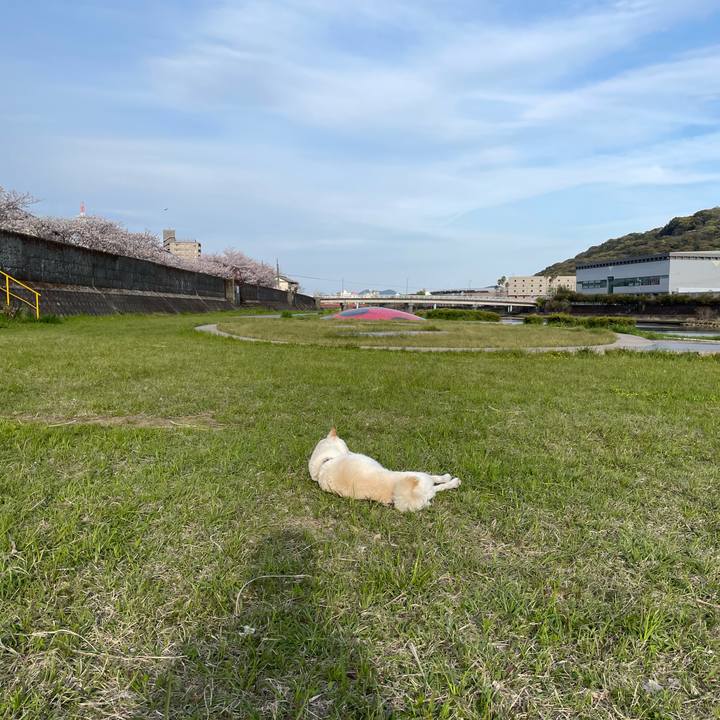 Dcf7e2ab b32e 4bf0 90f8 054fff6bc7a7 1649177405139