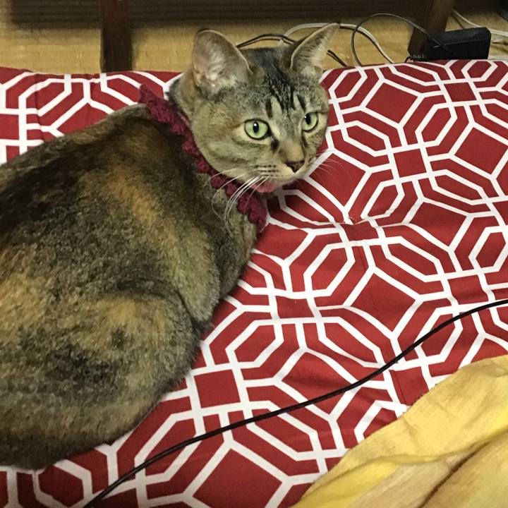 Dcf7ef16 c1aa 4bde 8233 9ad606b453ed 1614675898859