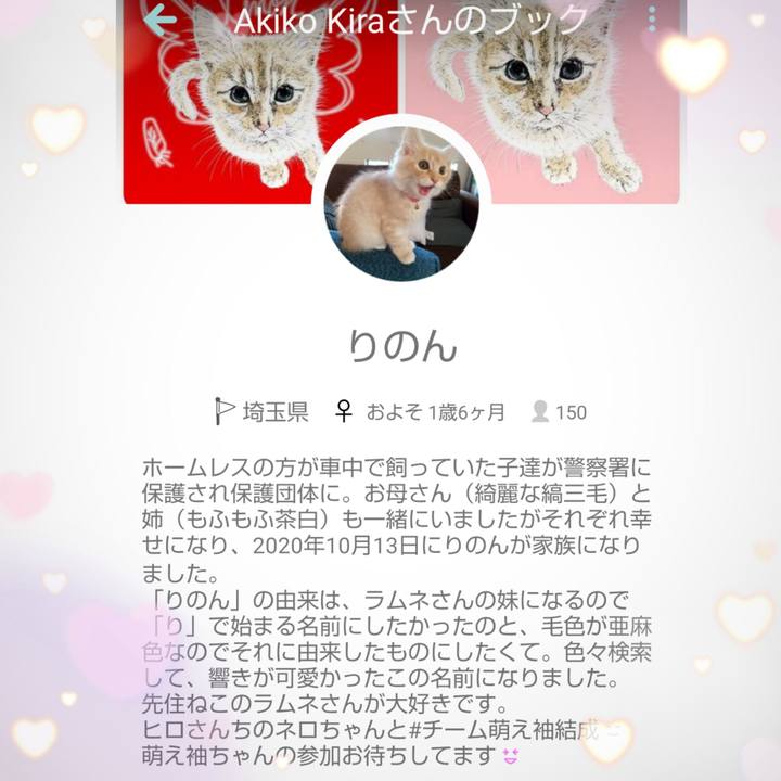 Dcf81cd9 c824 46ed 96d5 f758be26d3a4 1646912741141