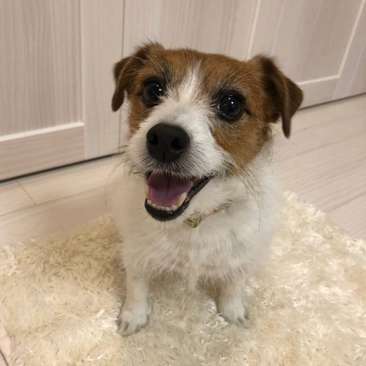 Dcf864c1 834d 436f 8eeb bae44439628f 1584658532848