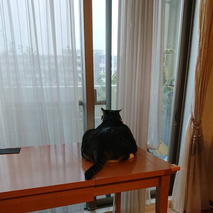 Dcf867a4 d283 412c 975e 2b85ac90a2e3 1571351656070