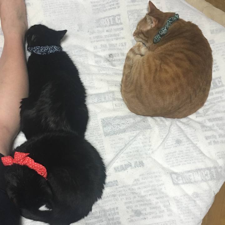 Dcf869f9 cf28 421c 9686 f5ca7005df16 1548680637997