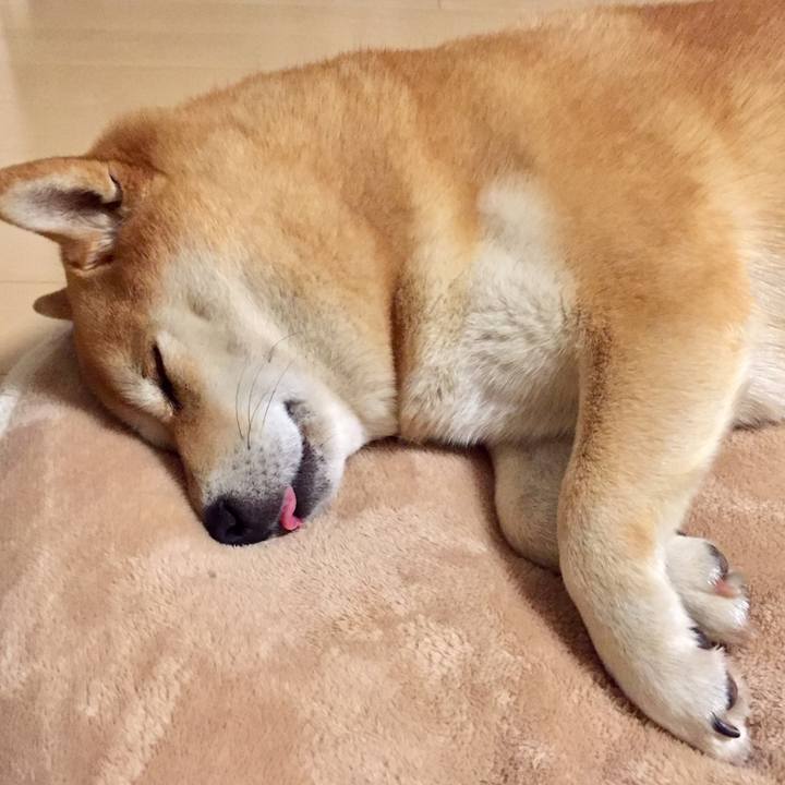 Dcf8738c 1313 409b 98da 5bf8a9ce962c 1519296754498