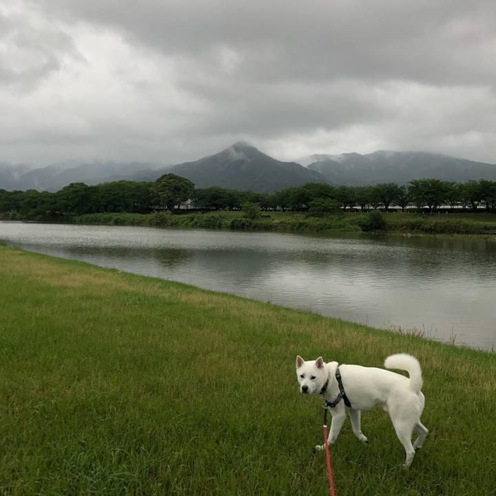 Dcf87407 1a57 4481 9479 e60546780ce0 1559946656957