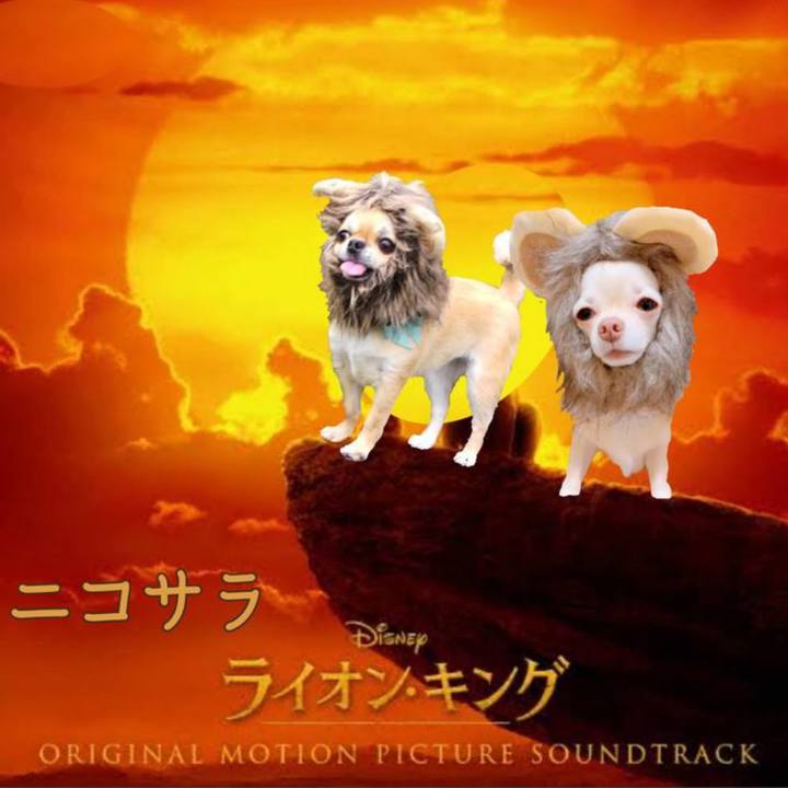 Dcf88653 d7a5 46db 9ae2 c8f1158244fb 1662540829522