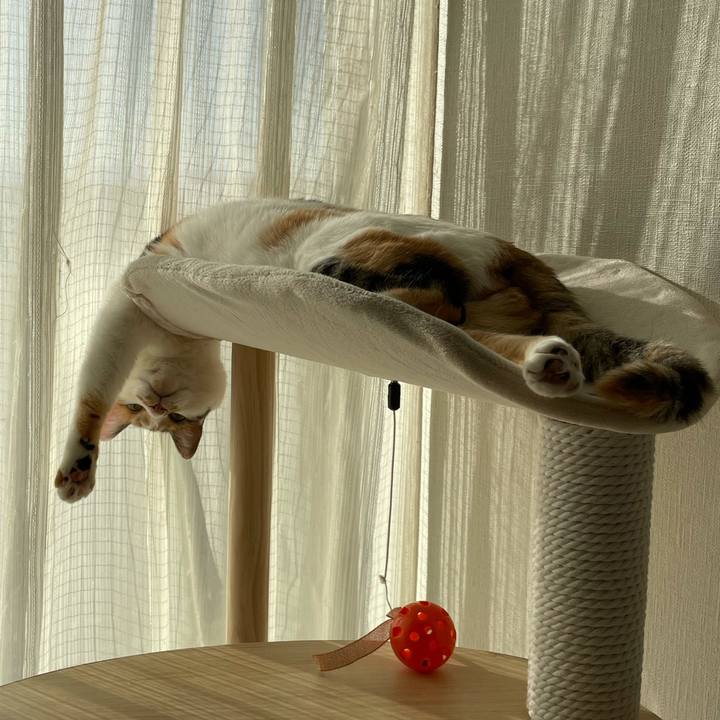 Dcf8b2d4 d7cf 4826 a410 b8222357e856 1612150213011