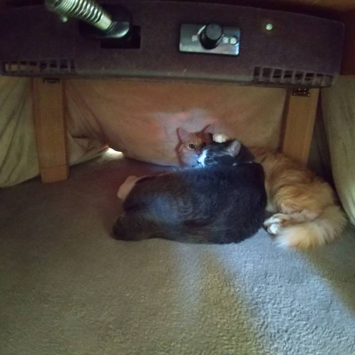 Dcf8bebe da06 4071 b6fc 81038282c27f 1640239606926