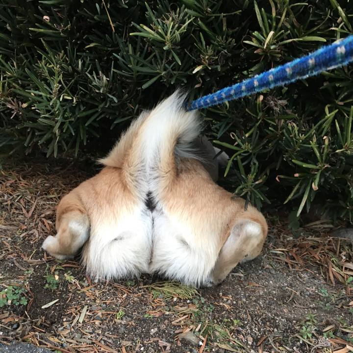 Dcf8dc43 1fc4 446b 8e27 26b039ca4a3d 1514207771228