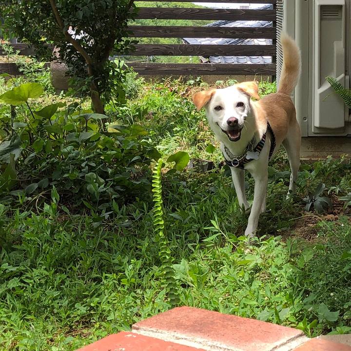 Dcf8ef10 9e30 44c2 9306 16a2ce8b488b 1630625910459