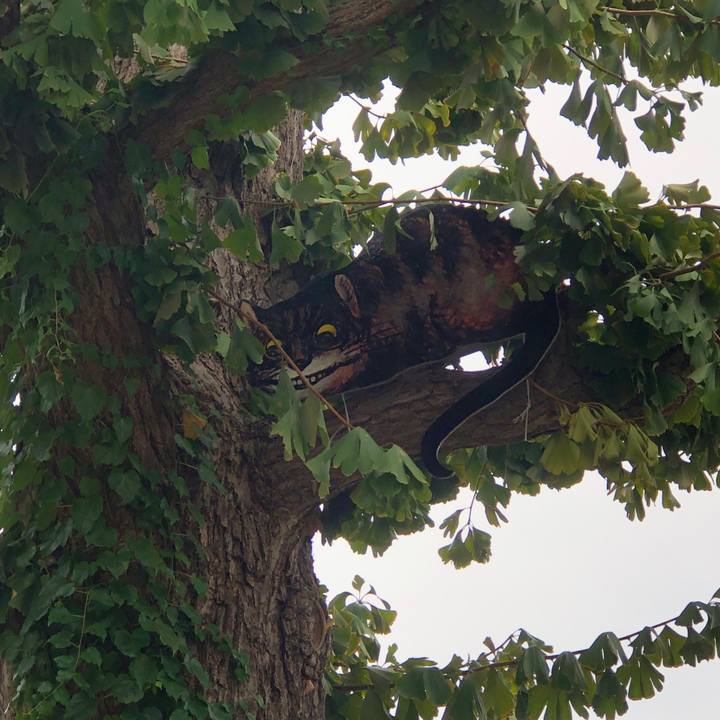 Dcf92a26 f584 4f3e 8e70 a8c0e7d83a73 1572877363065