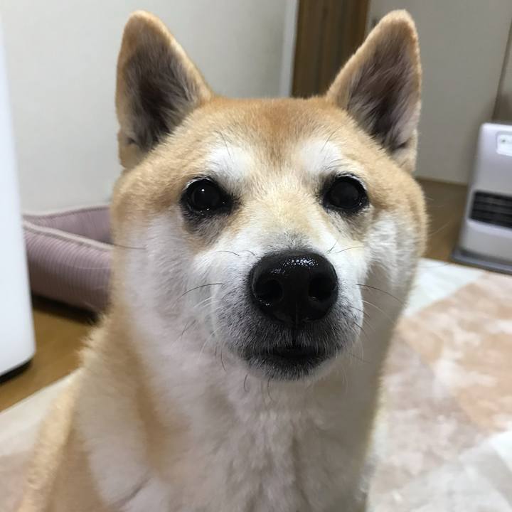 Dcf943c1 bf23 444c b699 5d11d5cf09c6 1545956987322