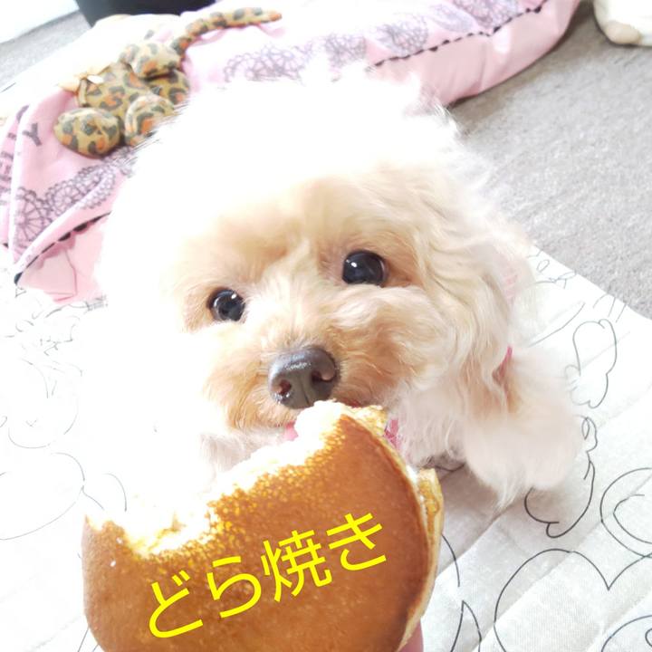 Dcf94bb8 d25f 4d95 be7c baa1627d7a63 1569496806669