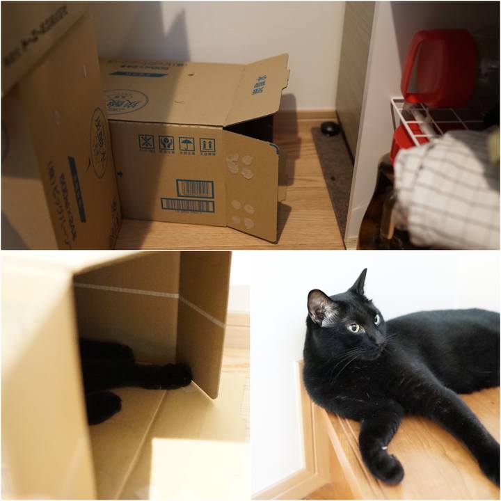 Dcf96f90 3ac0 42eb 823f 20bea70b545b 1564961948501