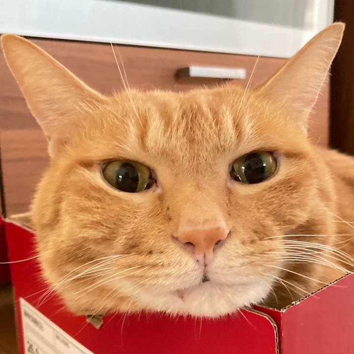 Dcf97516 cbb8 41f5 9a44 7adc951eef17 1764375397607