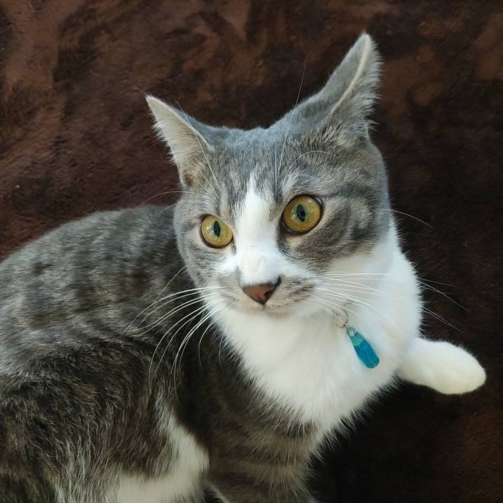 Dcf9b70f 46bc 4c16 9dd1 10138b64c1d8 1581032072716