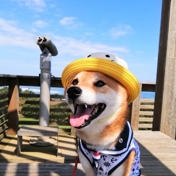 Dcf9dce3 3359 49d1 8071 69d95380acfc 1631269299638