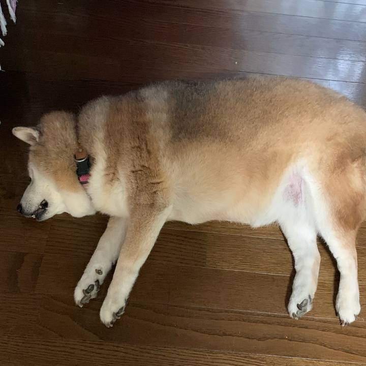 Dcf9e00d d952 4c52 a639 f54b908e3e2c 1625999376246