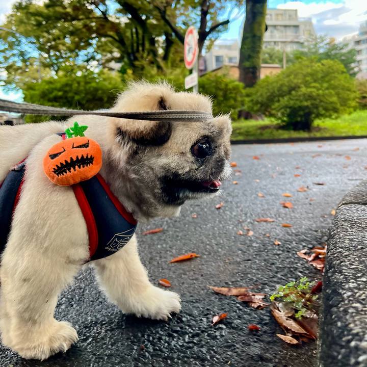 Dcfa15aa 0f7d 4841 a1d5 fe6eedc979fc 1761516102986