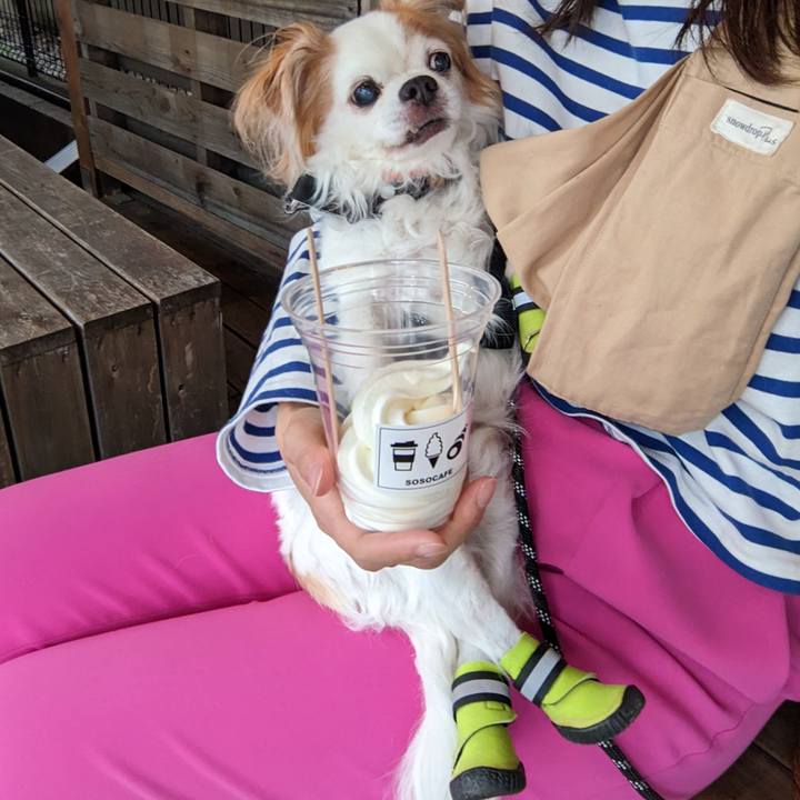 Dcfa23d0 e9e0 421f b1fd dcd982e640b4 1685005990637