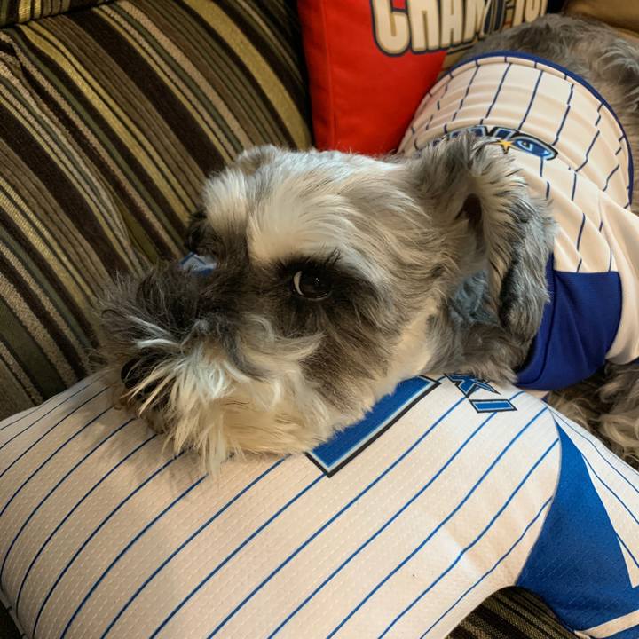 Dcfa919e cb36 4576 854d cc708a9518bd 1600580389327