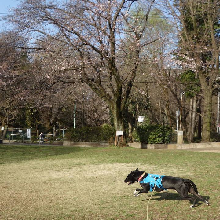 Dcfaa58f fe9b 4367 a75d f8caa9dfe5f2 1616024929512