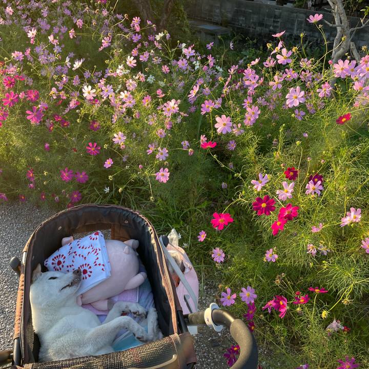 Dcfae4d2 449f 4535 9ff5 d997b8b5377d 1665839891392