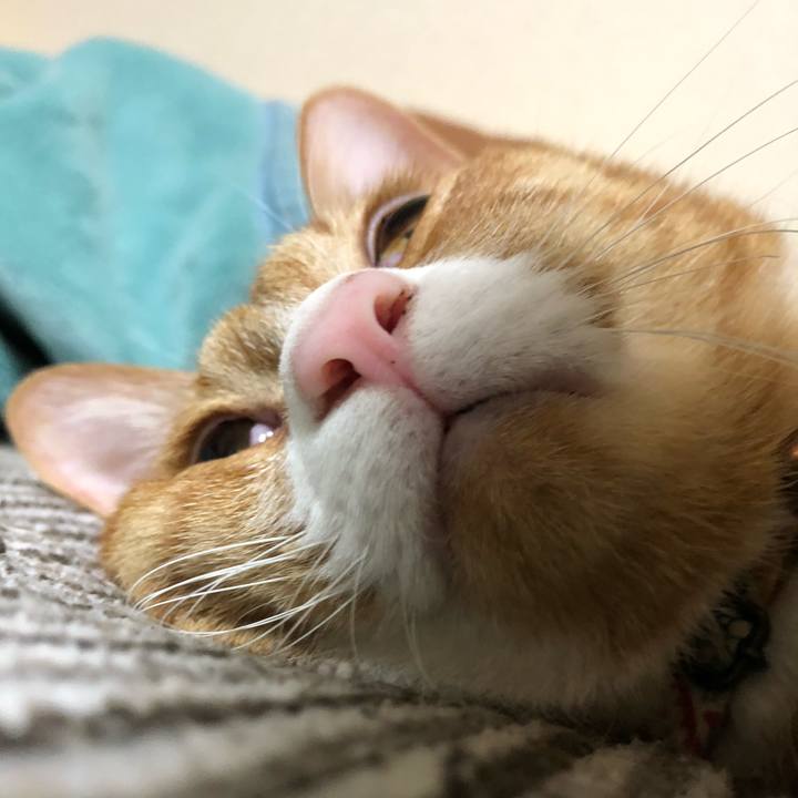 Dcfb4bfe d5fa 46e1 aa6d dd084a688fc0 1621900927603