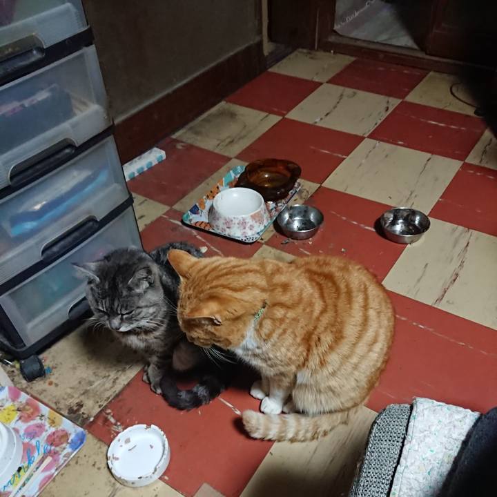 Dcfb5b70 f6f7 4d9d 8473 558070964194 1582920523969