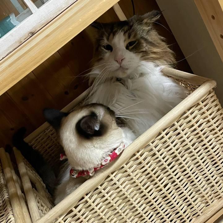 Dcfb6eaa a37d 419d a860 d093184b9dbf 1710878919107