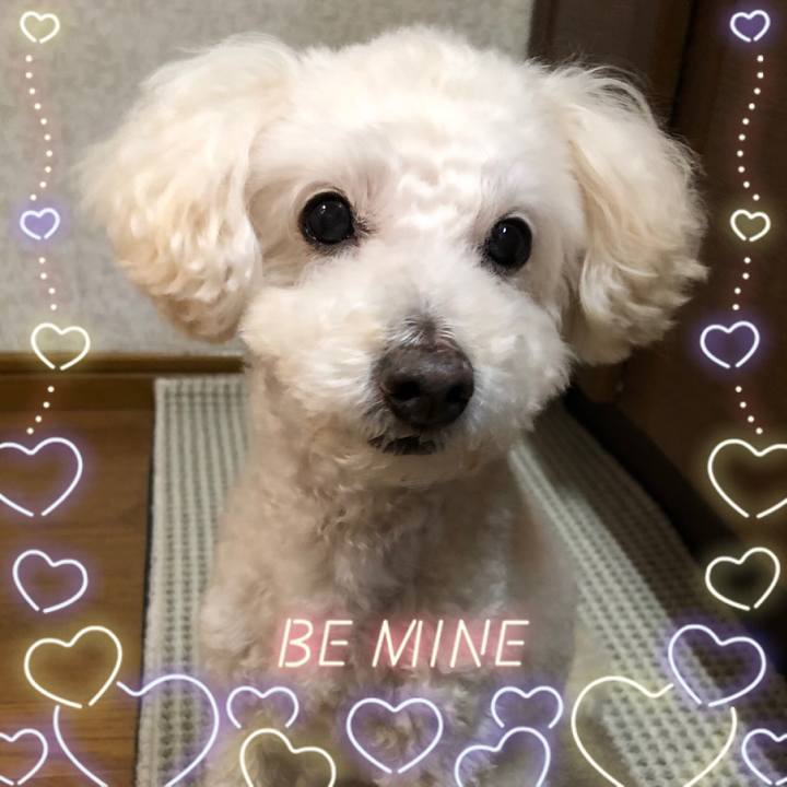 Dcfb91ae 9c2f 4dd6 bb4d 80fb8e340179 1547768293197