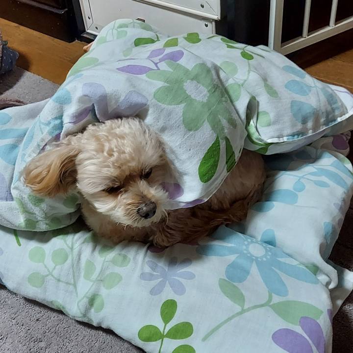 Dcfb9437 7ed9 4262 9657 05c15fd6e60c 1700701757078